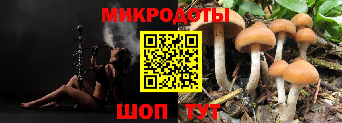 Галлюциногенные грибы MAGIC MUSHROOMS Фрязино
